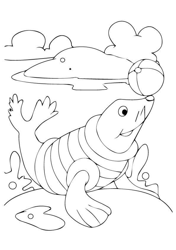 Plansa de colorat cu Foca 2 12